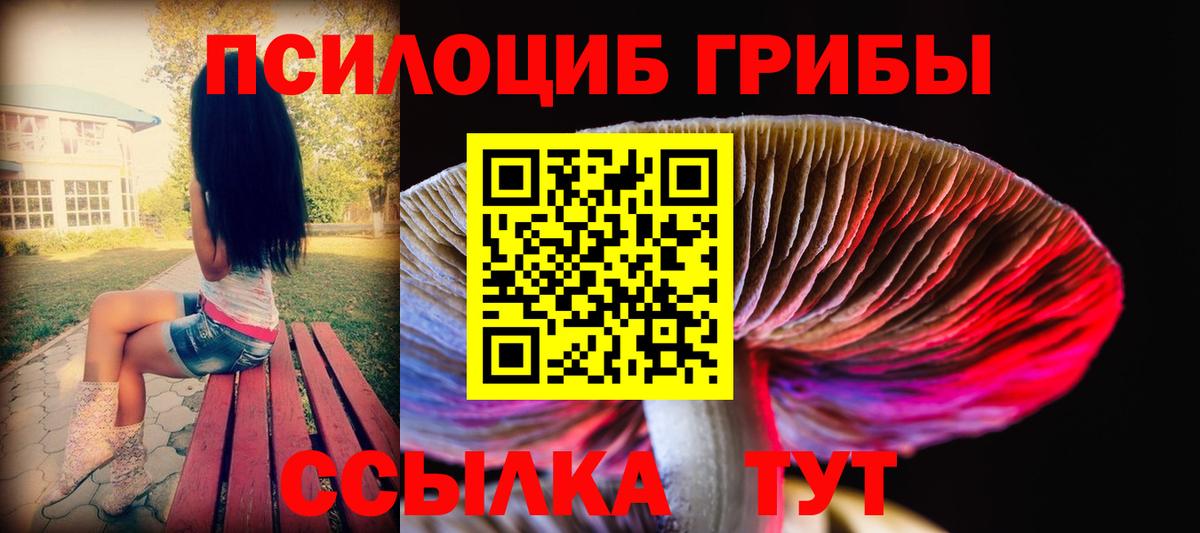 Медногорск  Псилоцибиновые грибы Magic Shrooms  Вход с VPN 